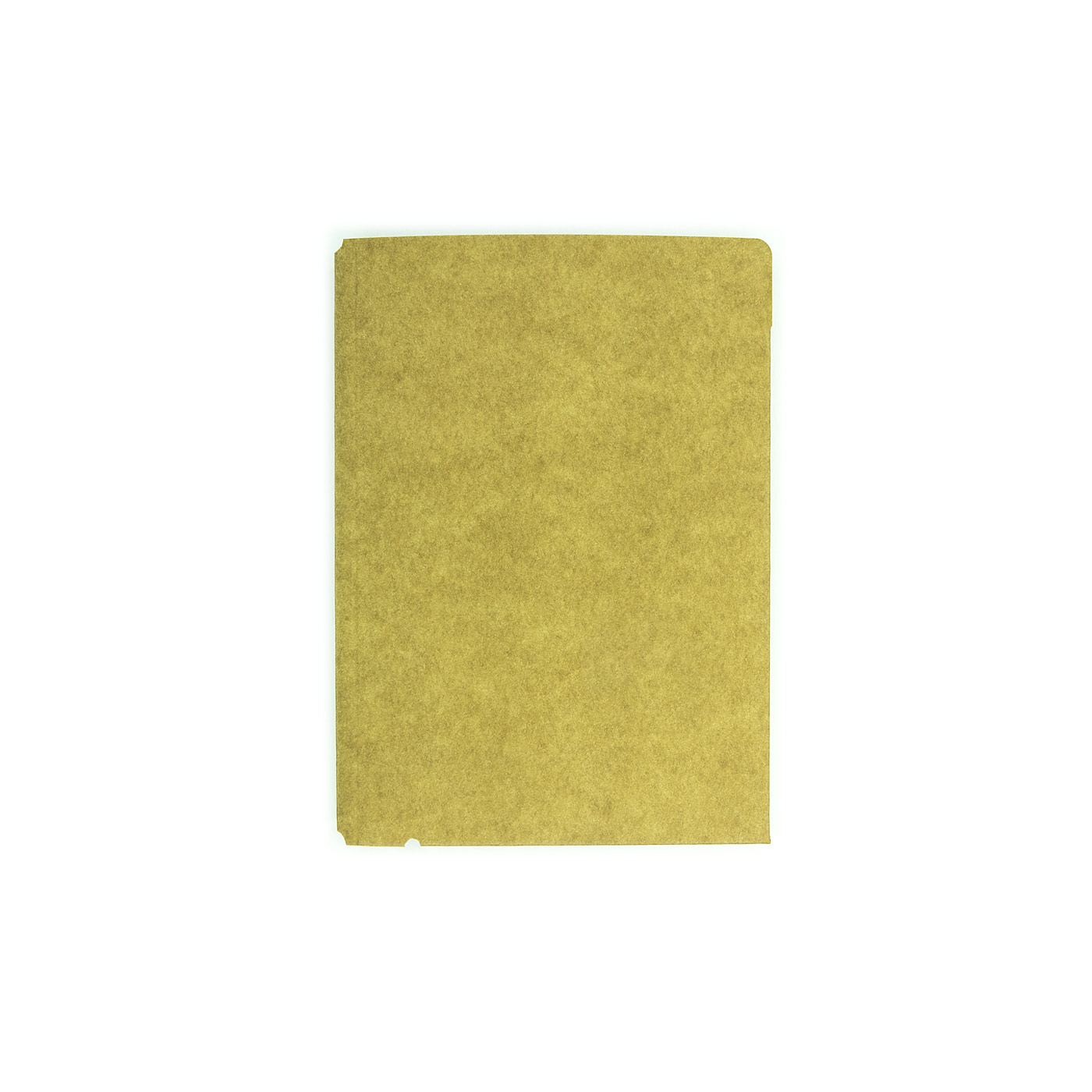 Traveler's Notebook Kraft File