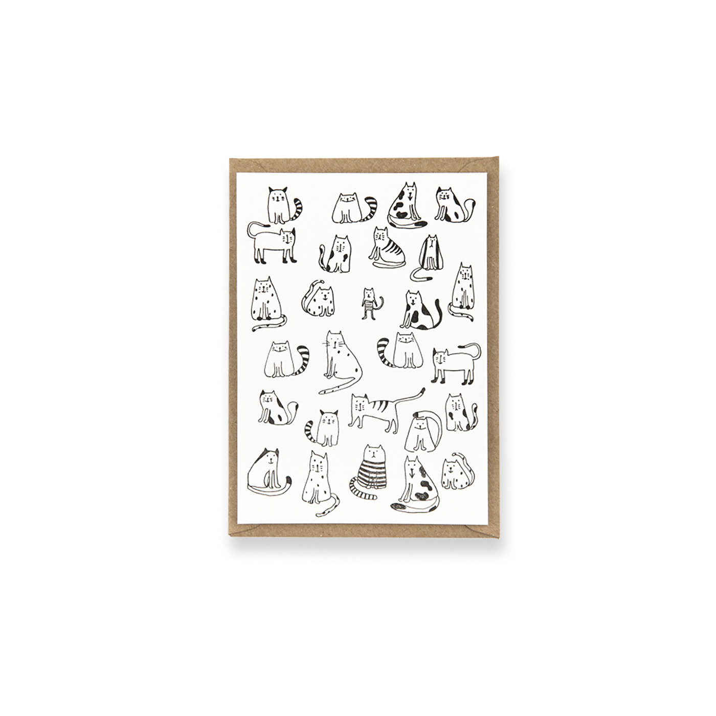 Katzen Studio Flash