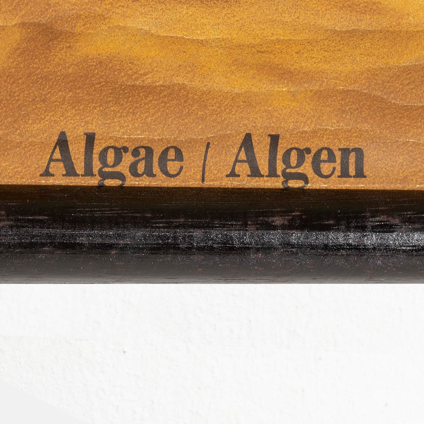 alge-detail-4