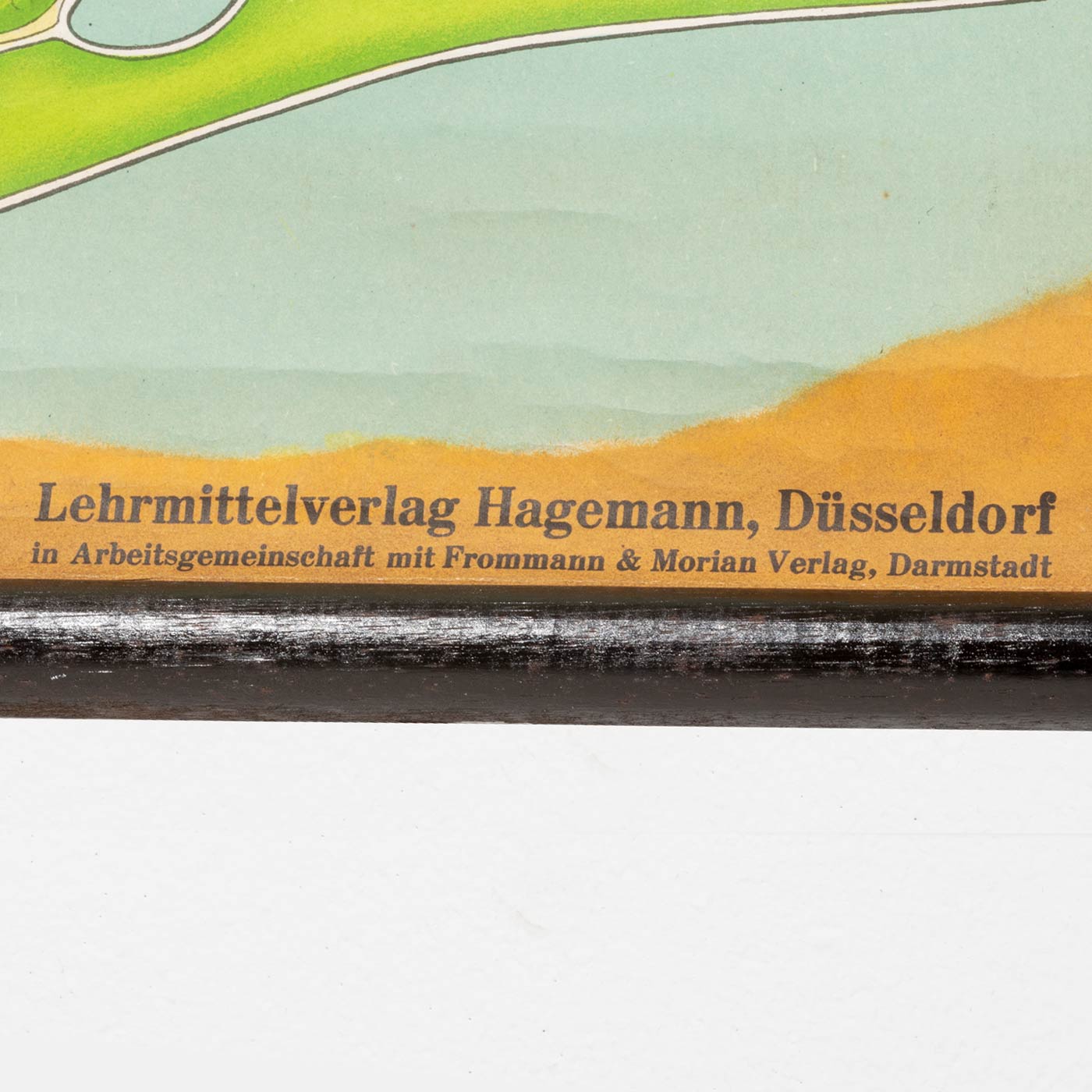 alge-detail-5